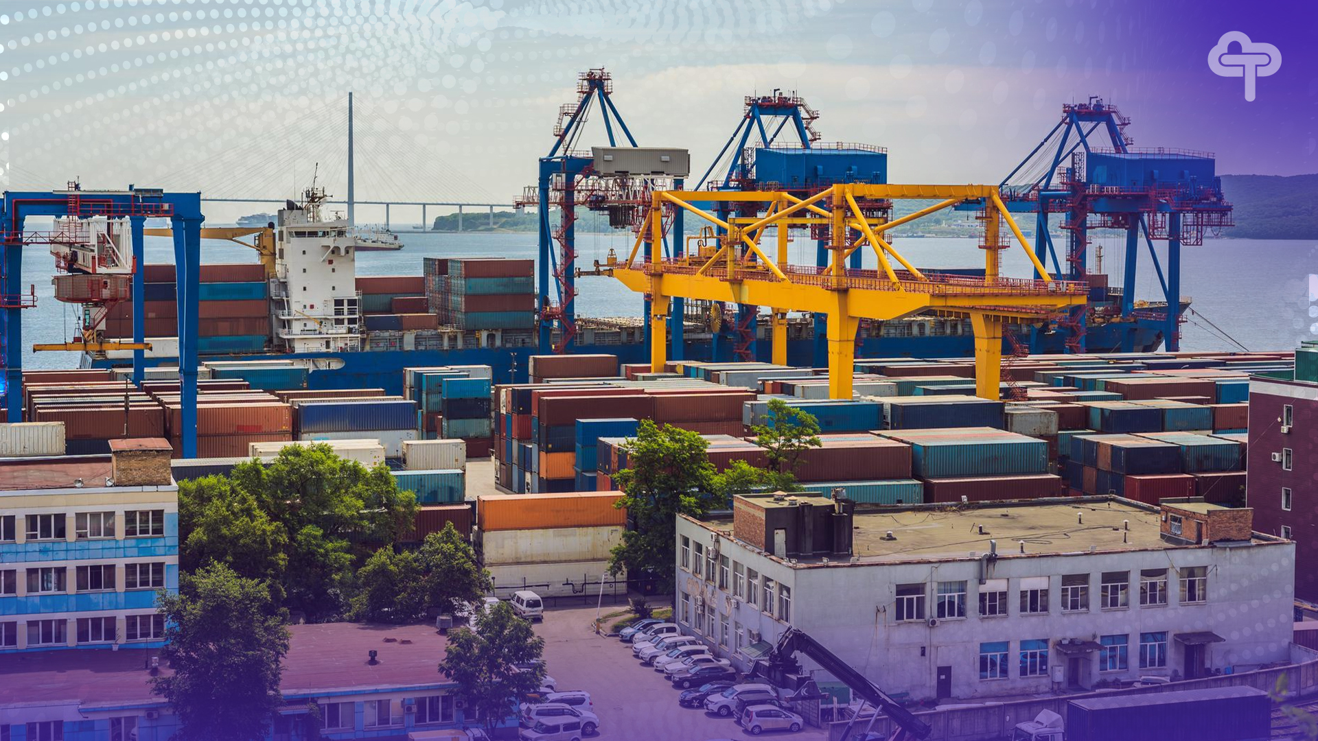 procurement risk management